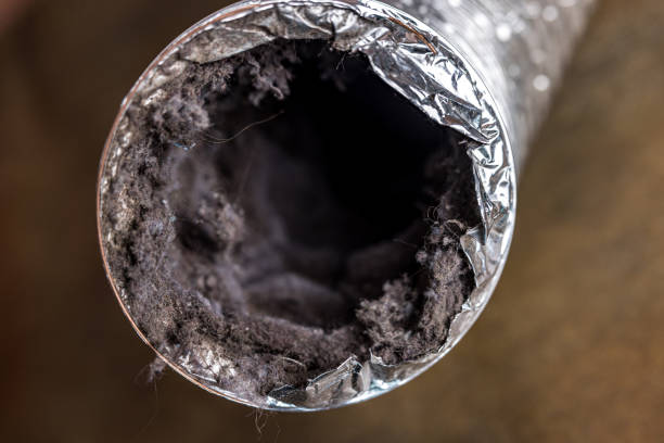 Best Commercial Air Duct Cleaning  in South Whitley, IN