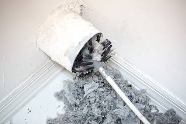 Best Dryer Vent Cleaning Services  in South Whitley, IN